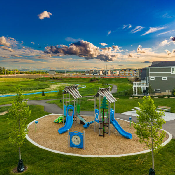 Wetland Park