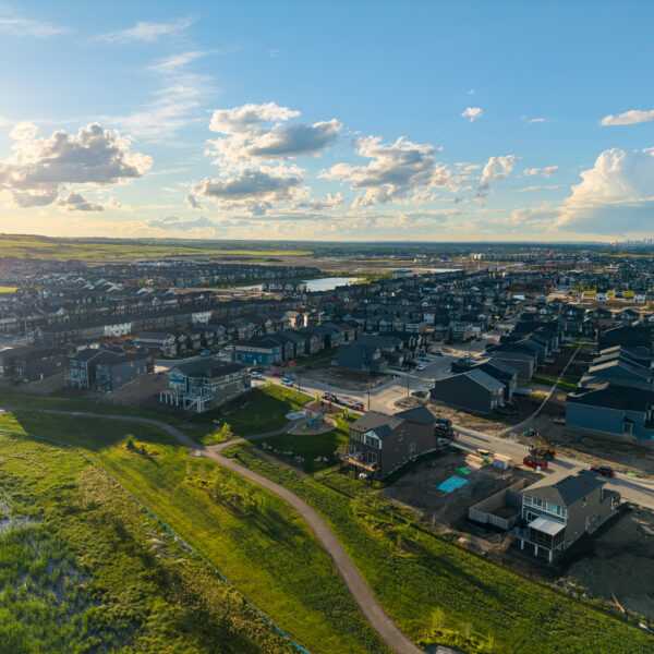 Wetland Park Aerial